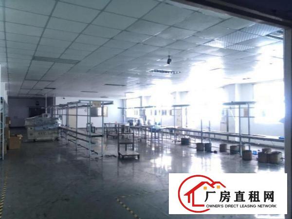  ~塘厦沙湖8900平方独院厂房【实拍图，做电池】挨观澜~