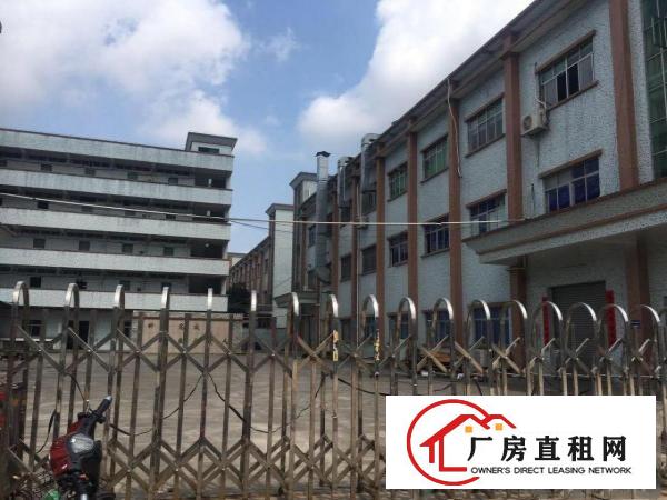  ~塘厦沙湖8900平方独院厂房【实拍图，做电池】挨观澜~
