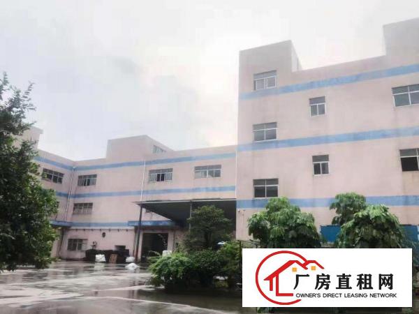  实拍！沙湖260平方精装修办公室 400和1100平楼上厂房