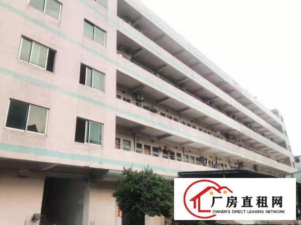  实拍！沙湖260平方精装修办公室 400和1100平楼上厂房