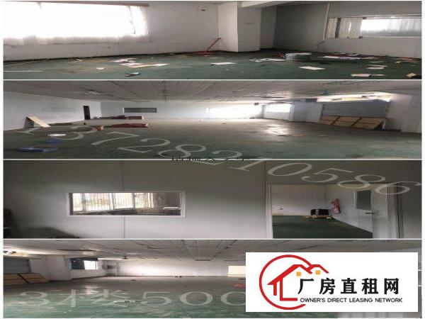  林村高速旁450平方米有阁楼一楼标准厂房 全新带500平空地