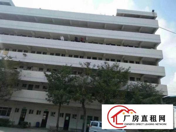  ~塘厦蛟乙塘6000平米独院厂房，地坪漆装修，挨沙湖/高速~