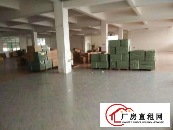  ~塘厦蛟乙塘6000平米独院厂房，地坪漆装修，挨沙湖/高速~