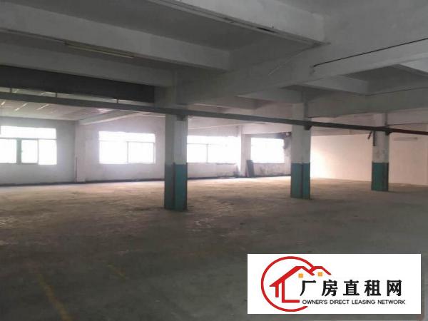  塘厦原房东1600平方标准3楼厂房！0公摊！龙背岭挨高速路