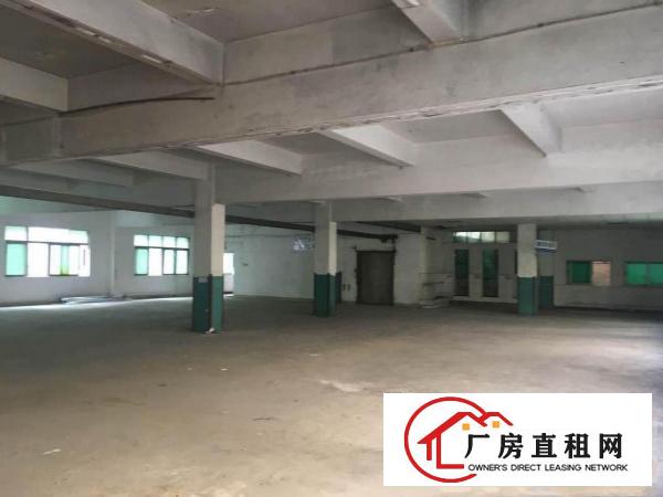  塘厦原房东1600平方标准3楼厂房！0公摊！龙背岭挨高速路