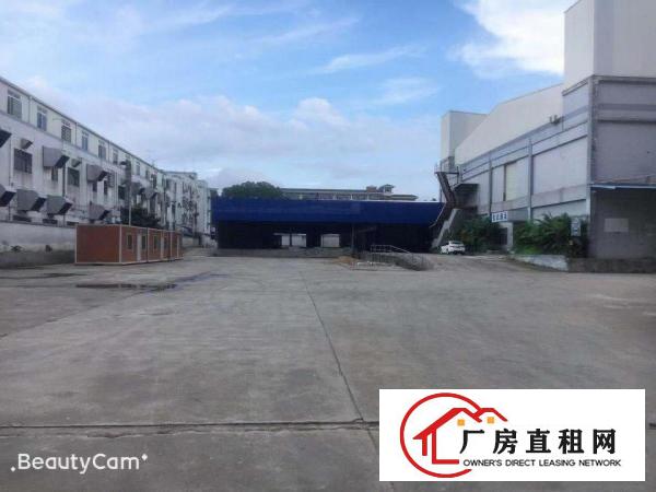  ~塘厦莲湖5000平米独门独院厂房~带卸货台~大小可分租~