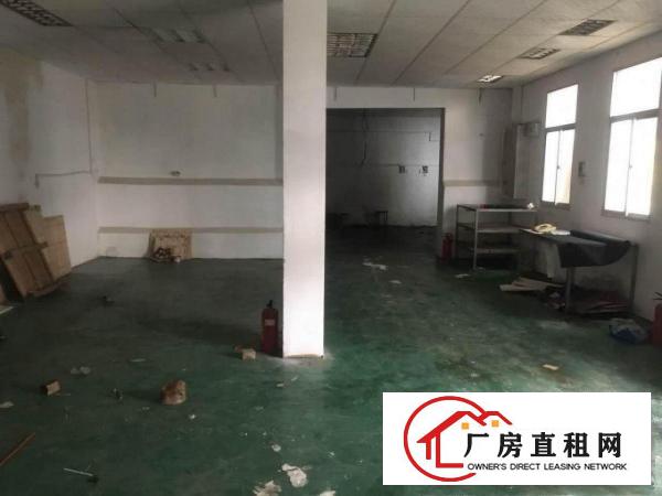  振兴围220至560平方米1至2楼标准厂房，印刷胶水胶带标签