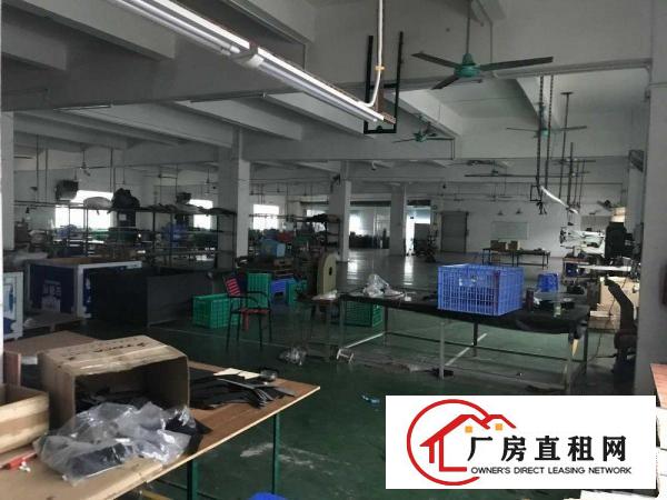 塘厦镇石鼓厂房4楼精装修水电齐全