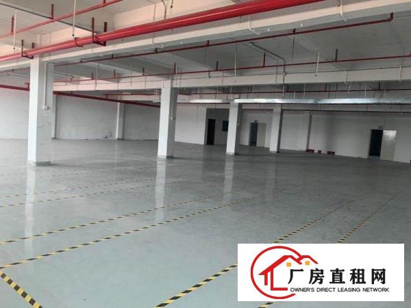  塘厦新出带装修楼上整层电子厂