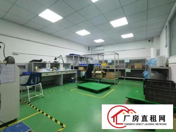 布局有致！塘厦沙湖1400平免装修独院2楼厂房！蛟乙塘/大坪