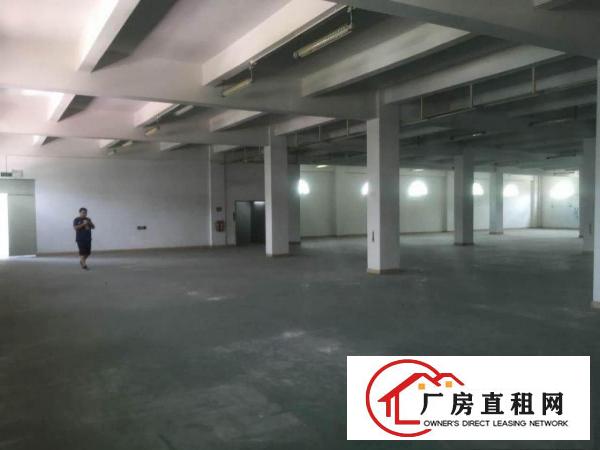  欧式风格：塘厦平山12780平方米带国有证独院厂房：可分租