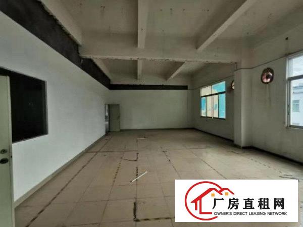  ~电子线材手袋~石鼓1000平米独院3楼厂房~豪华前台装修~