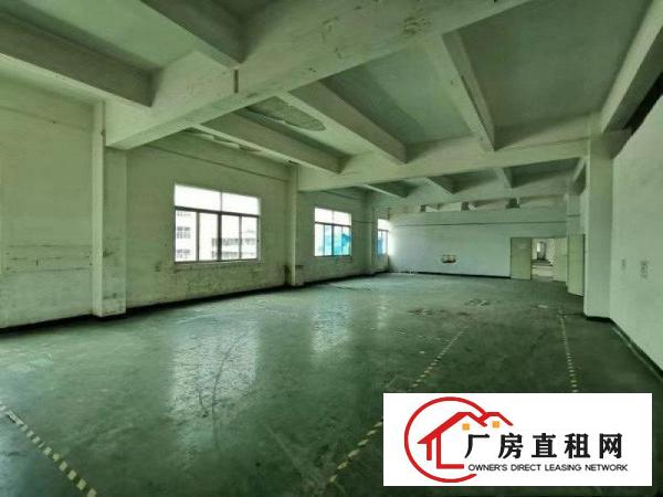  ~电子线材手袋~石鼓1000平米独院3楼厂房~豪华前台装修~