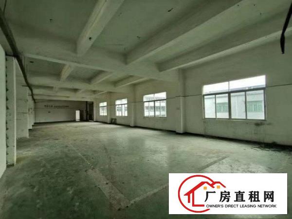  ~电子线材手袋~石鼓1000平米独院3楼厂房~豪华前台装修~