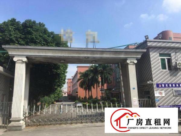  塘厦石马3600平方红本独院厂房。临石鼓/凤岗，塘厦厂房出租