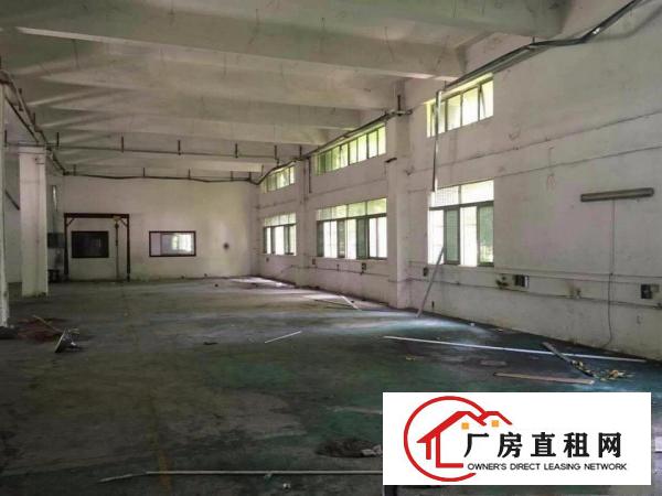  自有厂房石鼓800平办公室一楼厂房。重工业，塘厦厂房出租