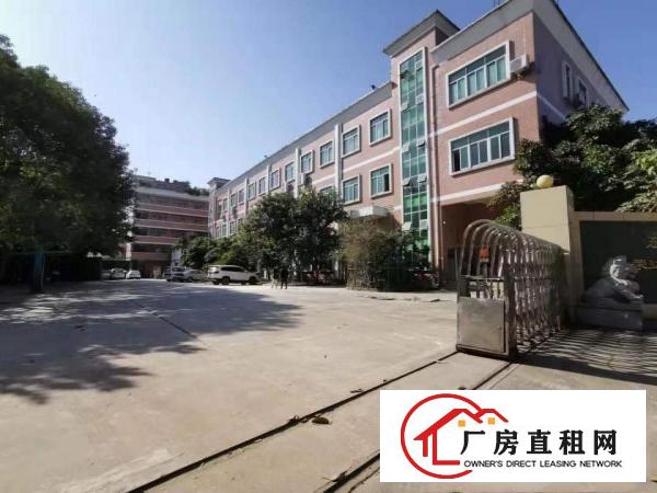  自有厂房石鼓800平办公室一楼厂房。重工业，塘厦厂房出租