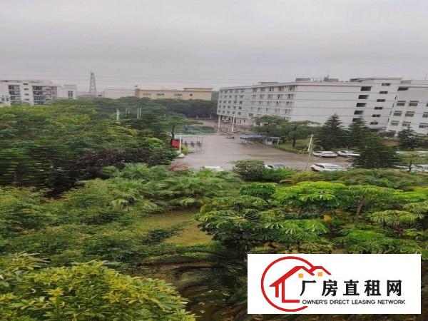  优质厂房出租，一楼，面积1500平米