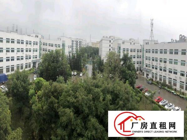  优质厂房出租，一楼，面积1500平米