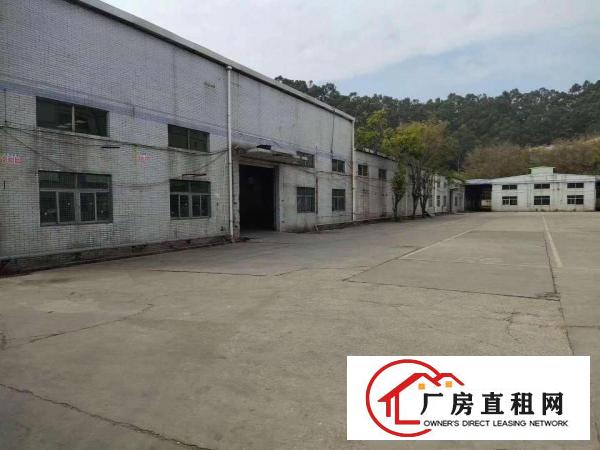  国土证红本，田心原房东25700平米园林式独院厂房，可分租
