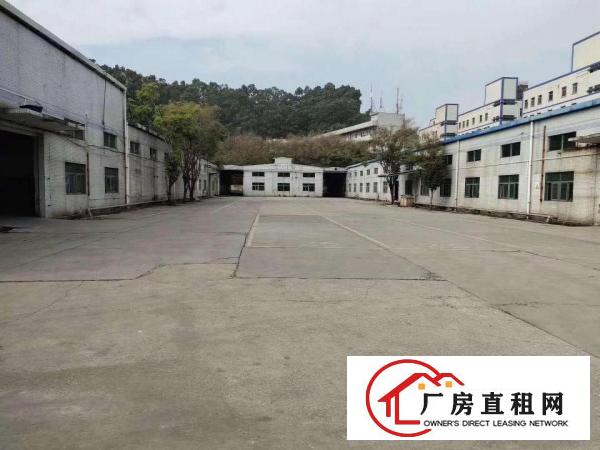  国土证红本，田心原房东25700平米园林式独院厂房，可分租