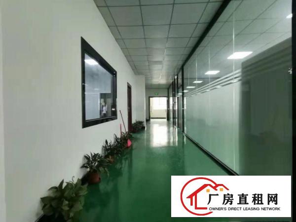 ~塘厦石马6500平方独门独院厂房招租，挨石鼓/观澜处~