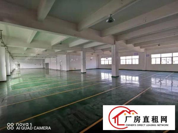  ~塘厦石马6500平方独门独院厂房招租，挨石鼓/观澜处~