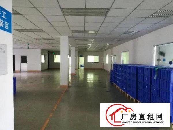  塘厦原房东厂房，田心550平方标准一楼厂房，临龙背岭/莆心湖