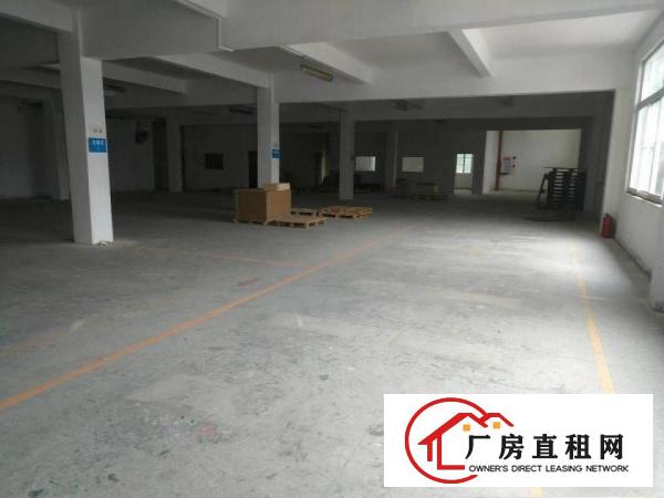  塘厦原房东厂房，田心550平方标准一楼厂房，临龙背岭/莆心湖