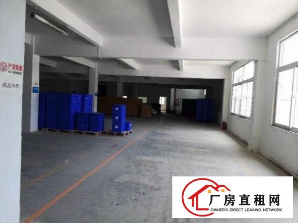  塘厦原房东厂房，田心550平方标准一楼厂房，临龙背岭/莆心湖