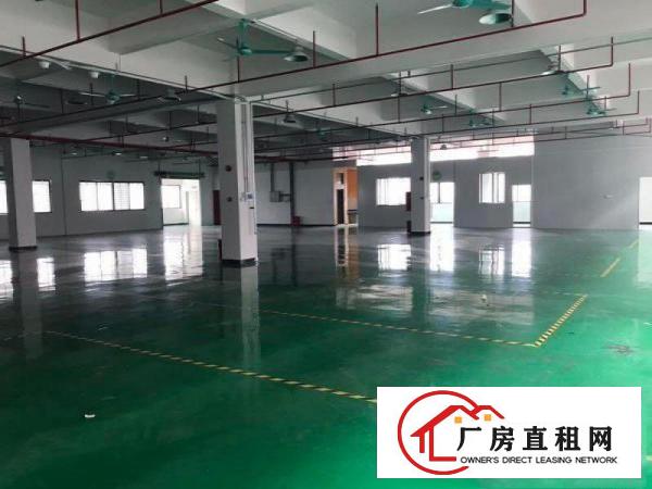  【原房东，前电子厂】塘厦石鼓4300平米独门独院厂房，带宿舍