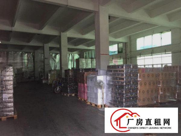  塘厦桥陇 靠深圳和凤岗 标准一楼厂房 2000平方米 可分租