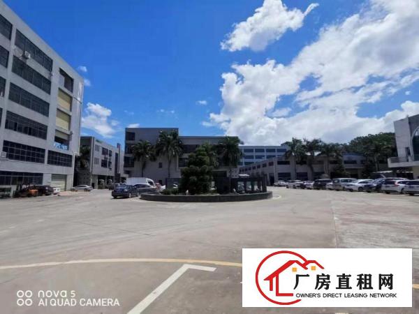  塘厦桥陇 靠深圳和凤岗 标准一楼厂房 2000平方米 可分租