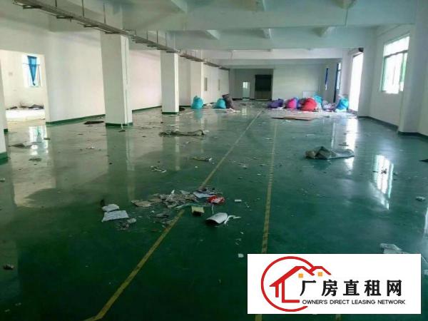  （花园式 电子五金业）塘厦四村5500平方米精美独院厂房招租