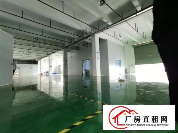  火火，业主好说话，塘厦科苑城6000平方米装修好独院厂房出租