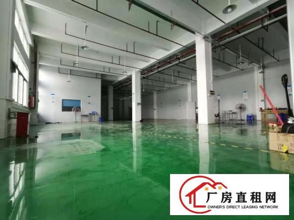  火火，业主好说话，塘厦科苑城6000平方米装修好独院厂房出租