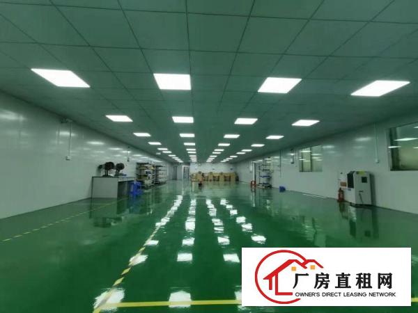  火火，业主好说话，塘厦科苑城6000平方米装修好独院厂房出租
