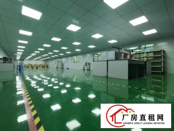  火火，业主好说话，塘厦科苑城6000平方米装修好独院厂房出租