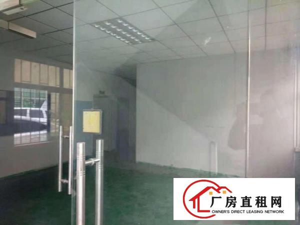  ~塘厦桥陇465平米一楼标准厂房，全办公室吊顶，挨凤凰岗~