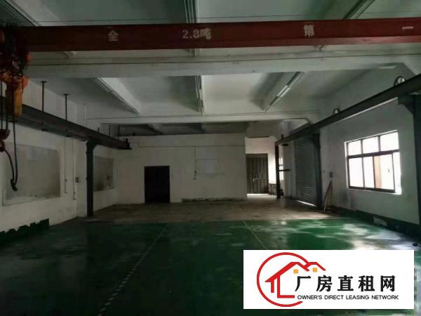  ~塘厦桥陇465平米一楼标准厂房，全办公室吊顶，挨凤凰岗~