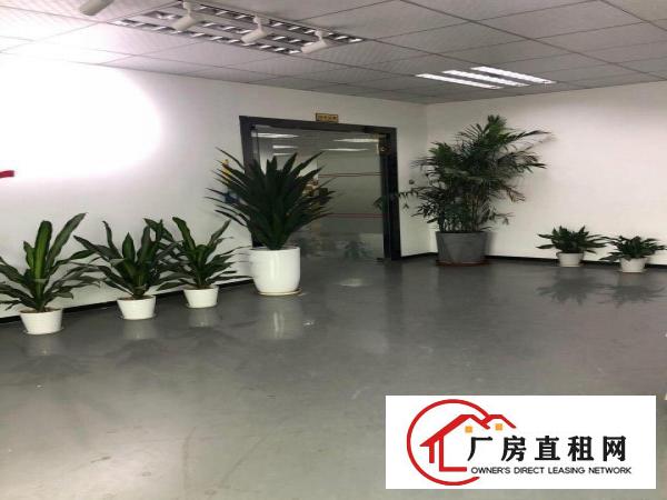  塘厦大坪高速出口二楼2200平方厂房出租
