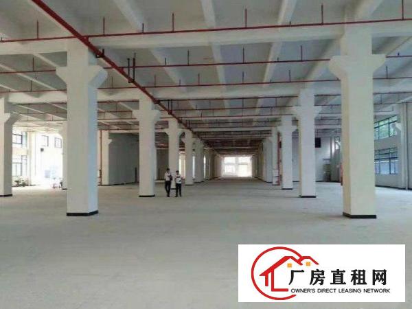  诸佛岭独院厂房2800平米配宿舍食堂交通方便