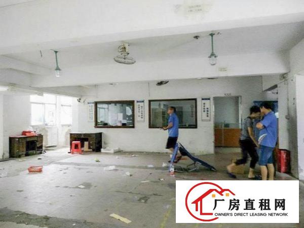  【毗邻观澜】沙湖村300平米带办公室和电路独院一楼厂房