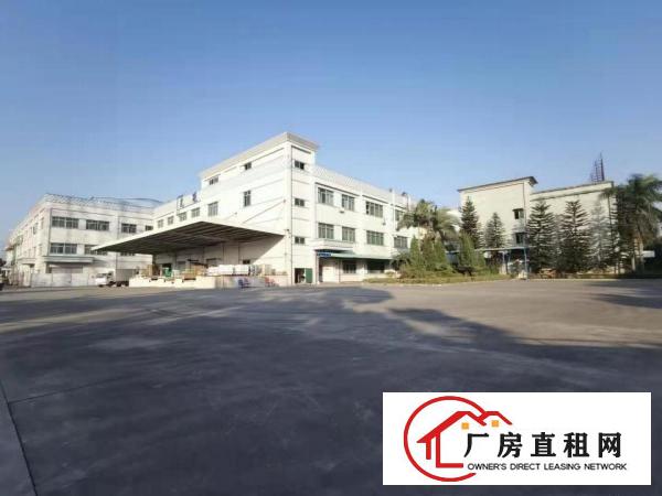  塘厦厂房出租：免装修 科苑城1000平方米一楼标准厂房