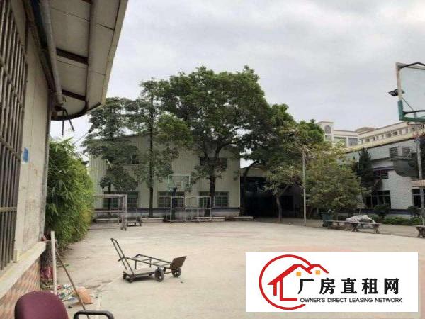  【。塘厦沙湖10000平方，原房东独院厂房，重工业/仓库。】