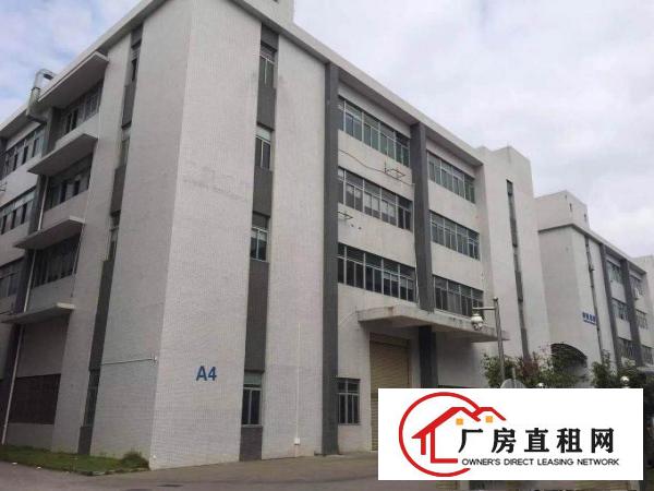  【。塘厦四村1000平米楼上厂房：喷淋 地坪漆，红本园区。】