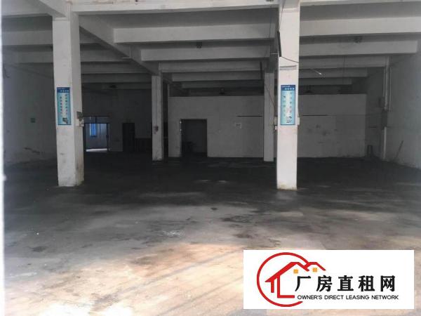  出租塘厦128工业区原房东1楼300m²现成水电办公室