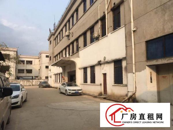  出租塘厦128工业区原房东1楼300m²现成水电办公室