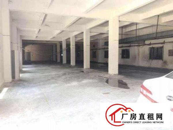  临深区独院！蛟乙塘近沙湖/大坪等2500平米独院厂房！