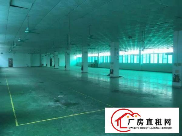  （全实拍！现成塑胶喷油证）清湖头7800平米独院厂房，可分租